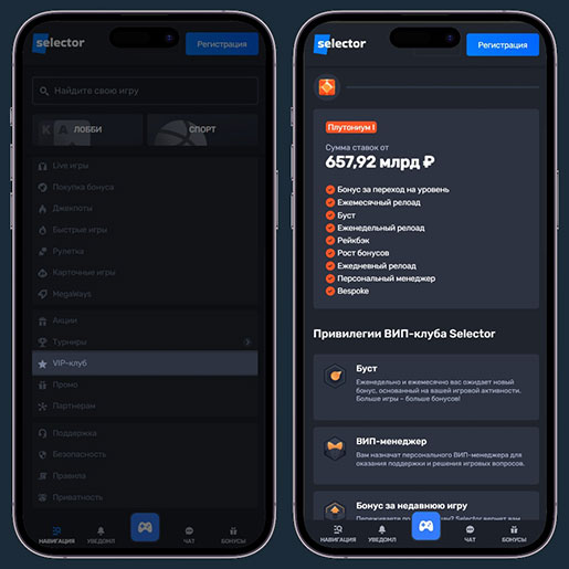 Система лояльности